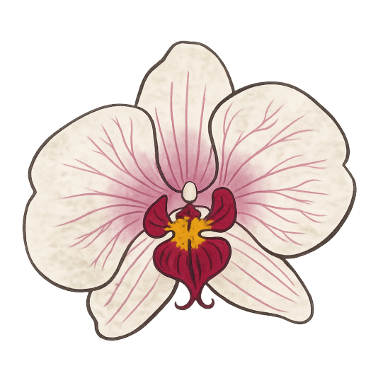 Logo Beauty Domiciliar